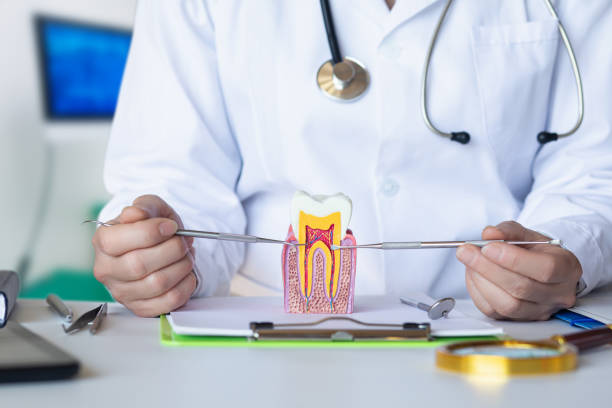 Best Emergency Care for Gum Disease in Kenner, LA